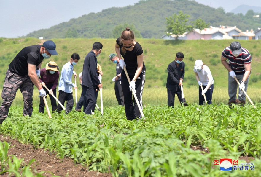Russian Embassy Members Help Korean Farmers