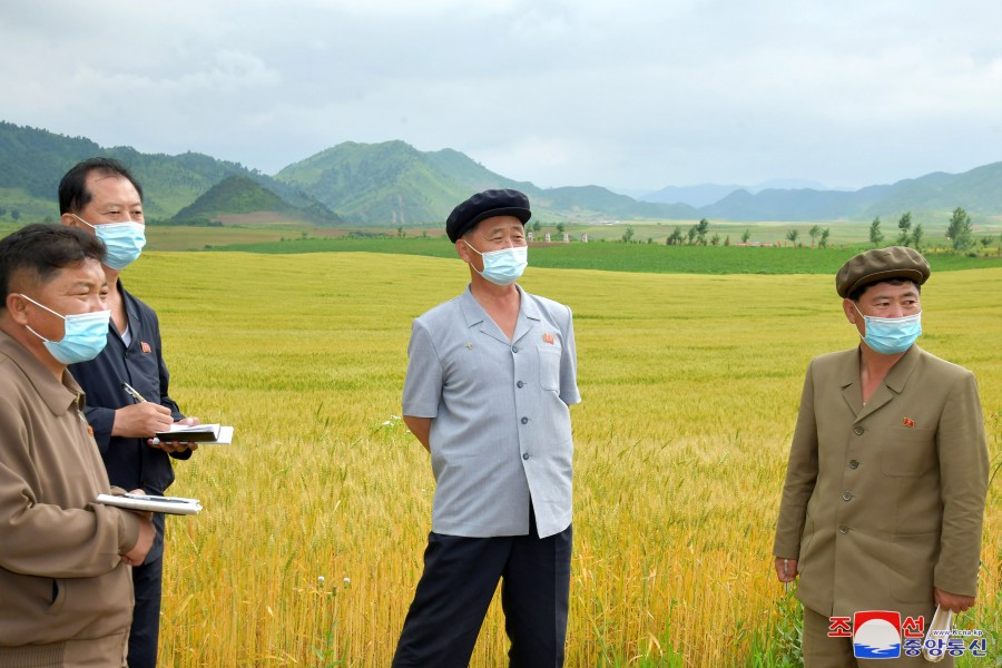 DPRK Premier Inspects Agricultural Sector