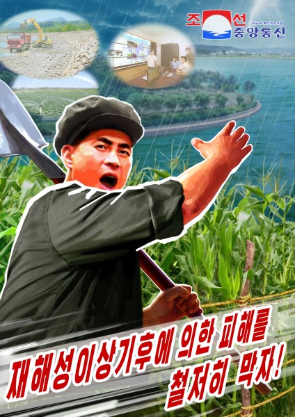 당중앙위원회 제8기 제8차전원회의 결정관철을 위한 전인민적투쟁기세를 격양시키는 선전화들 새로 창작