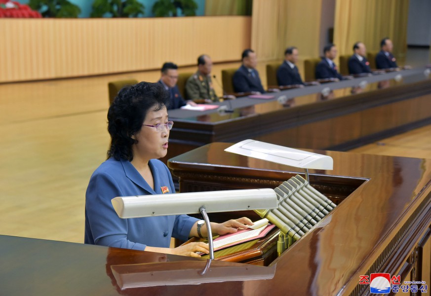 조국해방전쟁승리 70돐기념 중앙연구토론회 진행