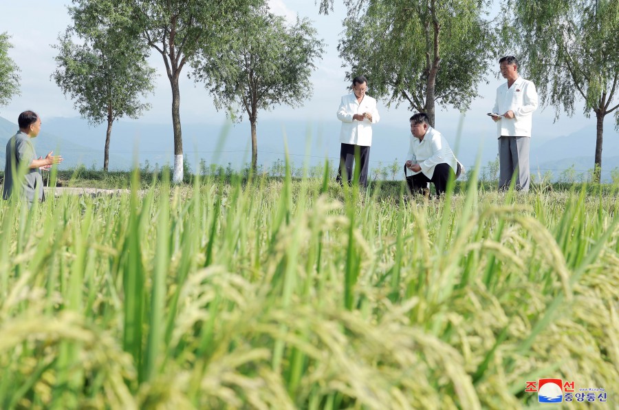 Respected Comrade Kim Jong Un Inspects Ogye and Wollang Farms in Anbyon County of Kangwon Province