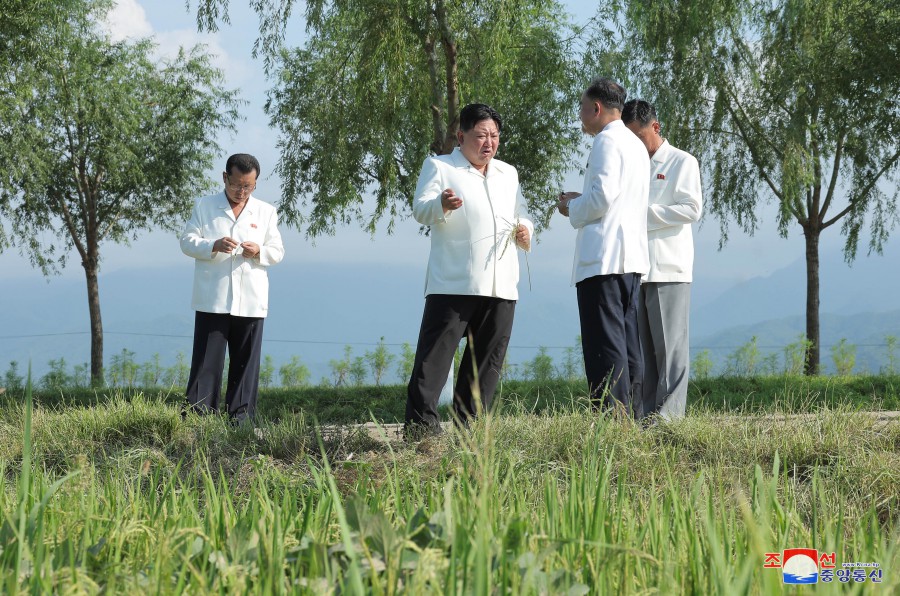 Respected Comrade Kim Jong Un Inspects Ogye and Wollang Farms in Anbyon County of Kangwon Province