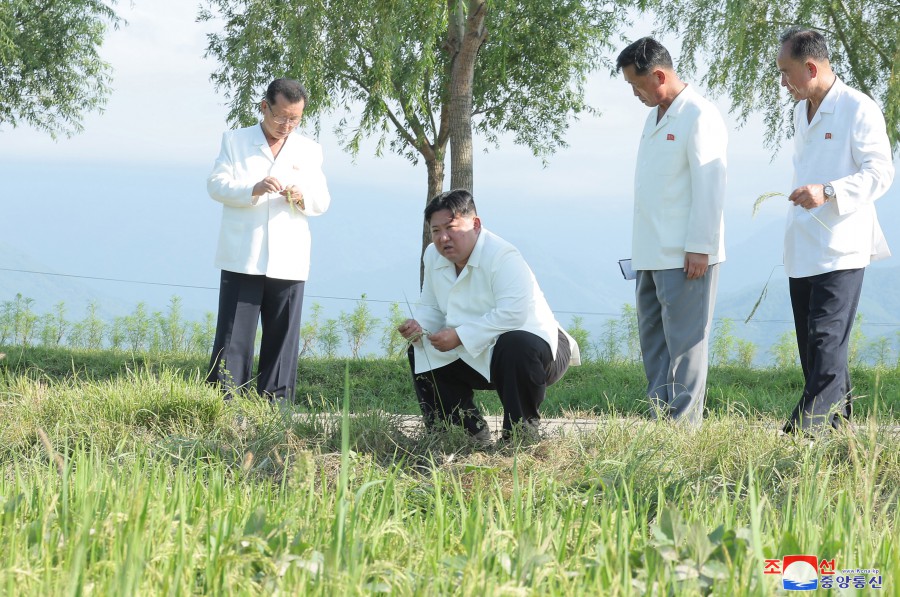 Respected Comrade Kim Jong Un Inspects Ogye and Wollang Farms in Anbyon County of Kangwon Province