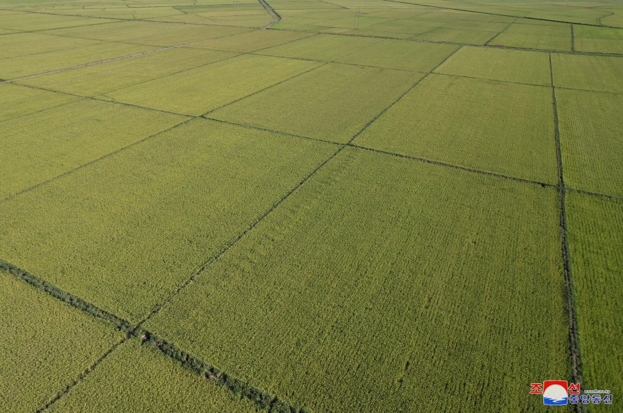 Respected Comrade Kim Jong Un Inspects Ogye and Wollang Farms in Anbyon County of Kangwon Province