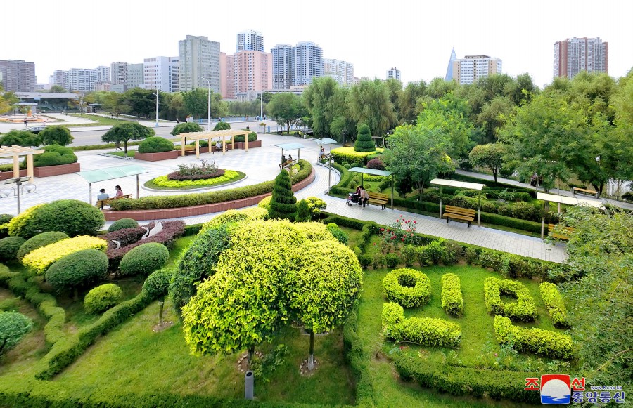 수도의 거리에 펼쳐진 특색있는 원림경관들