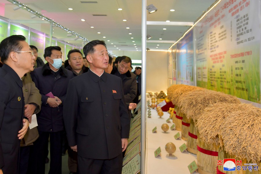 DPRK Premier Inspects Various Sectors