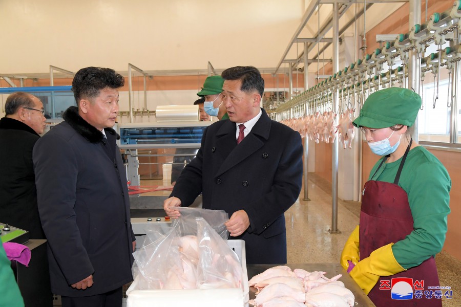 Kwangchon Chicken Farm Inaugurated in DPRK