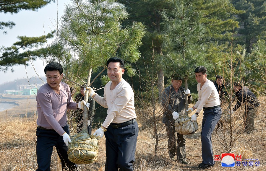 各地有意义地举行纪念植树活动