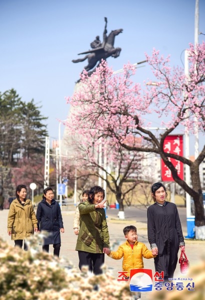 首都平壤迎来日暖花开的４月