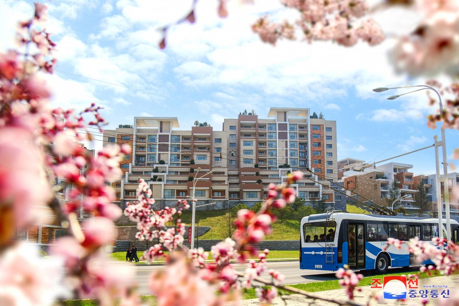 Pyongyang in April