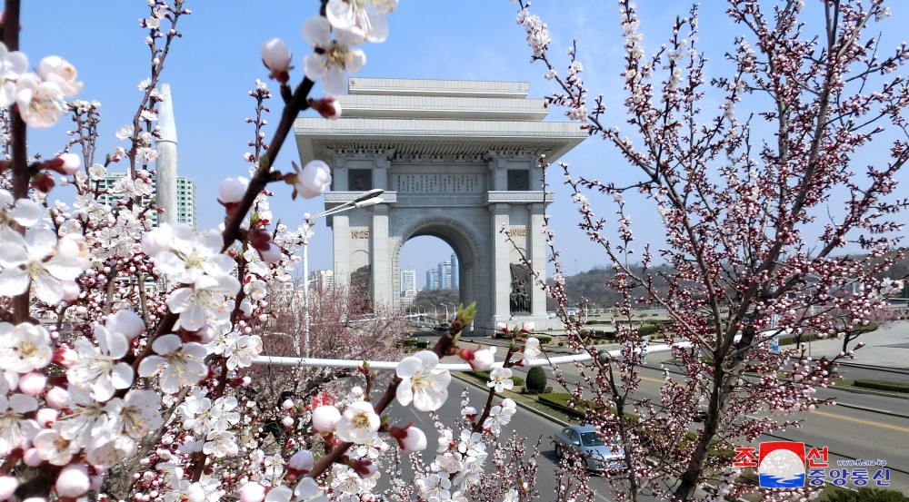 Pyongyang in April