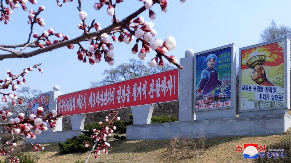 Pyongyang in April