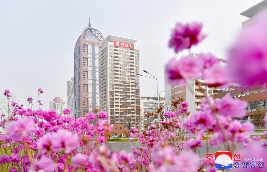 首都平壤迎来日暖花开的４月