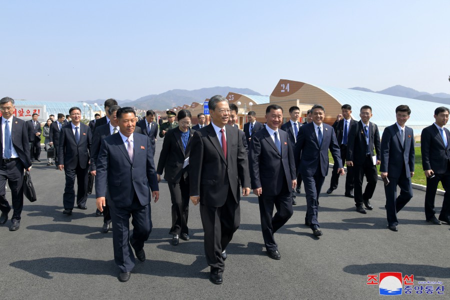 中国党・政府代表団が江東総合温室農場を参観