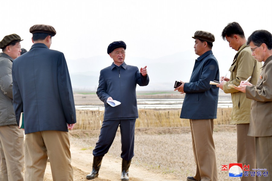 ﻿Премьер-министр Ким Док Хун ознакомился на месте с положением дел области сельского хозяйства в провинции Южный Хванхэ