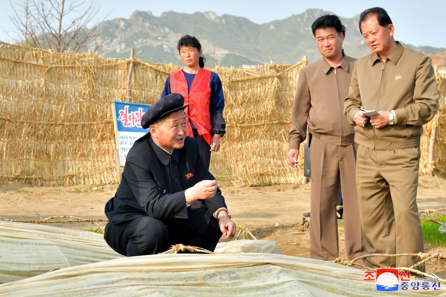 Premier coreano supervisa el sector agrícola de ambas provincias de Phyong-an