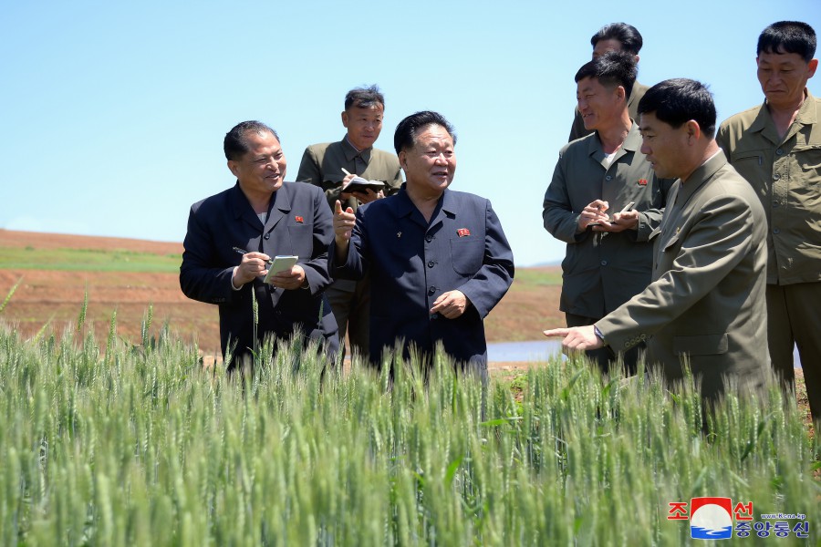 Choe Ryong Hae supervisa varios sectores de la provincia de Hwanghae del Norte y la ciudad de Nampho