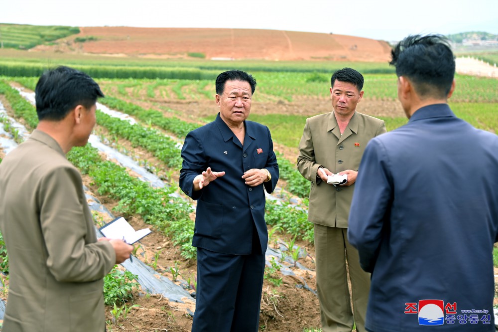 Choe Ryong Hae supervisa las labores de varias ramas de Hwanghae de Sur y Phyong-an de Norte