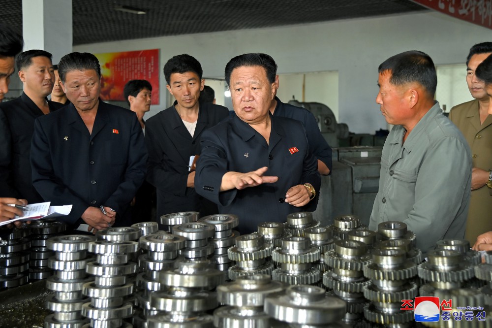 Choe Ryong Hae supervisa las labores de varias ramas de Hwanghae de Sur y Phyong-an de Norte