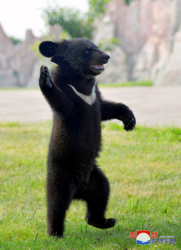 Number of Animals Grows at Central Zoo