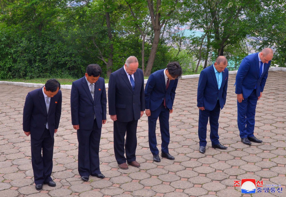 俄罗斯大使馆成员向解放塔和苏军烈士墓献花圈