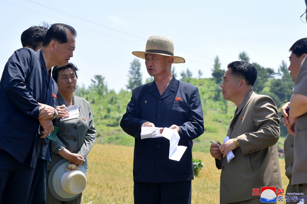 김덕훈 내각총리 황해북도의 농업부문 사업을 현지료해