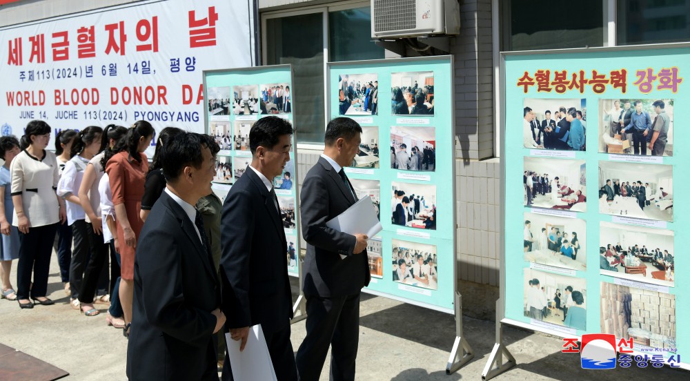 World Blood Donor Day Marked in DPRK