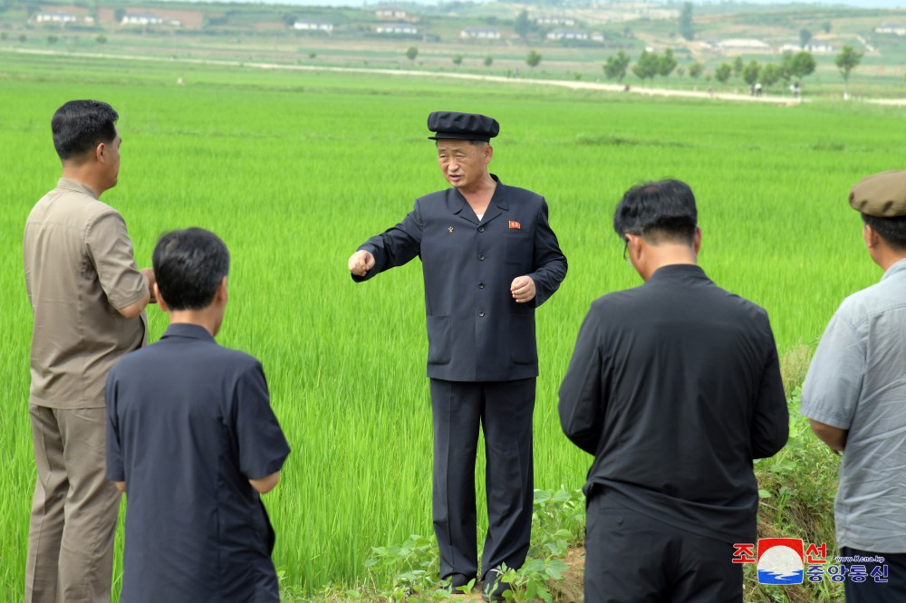 Kim Tok Hun supervisa el sector agrícola de la provincia de Hwanghae del Sur