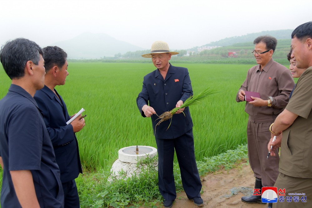 DPRK Premier Inspects Several Sectors