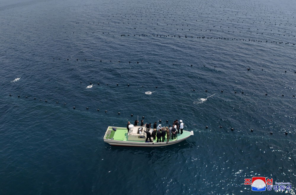 Respected Comrade Kim Jong Un Gives On-site Guidance over Preparations for Construction of Sinpho City Offshore Farm