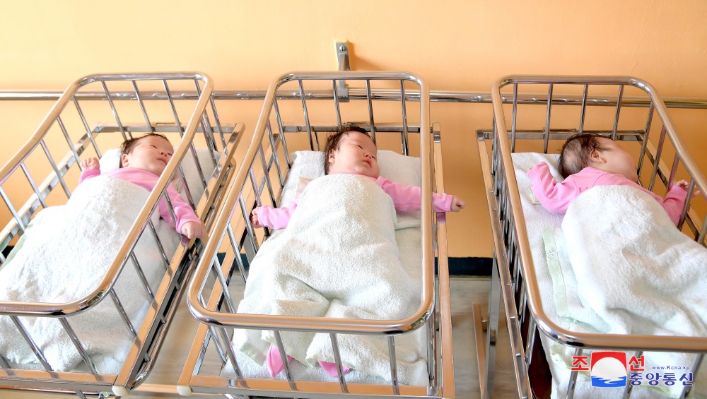 546th Triplets Born at Pyongyang Maternity Hospital in DPRK