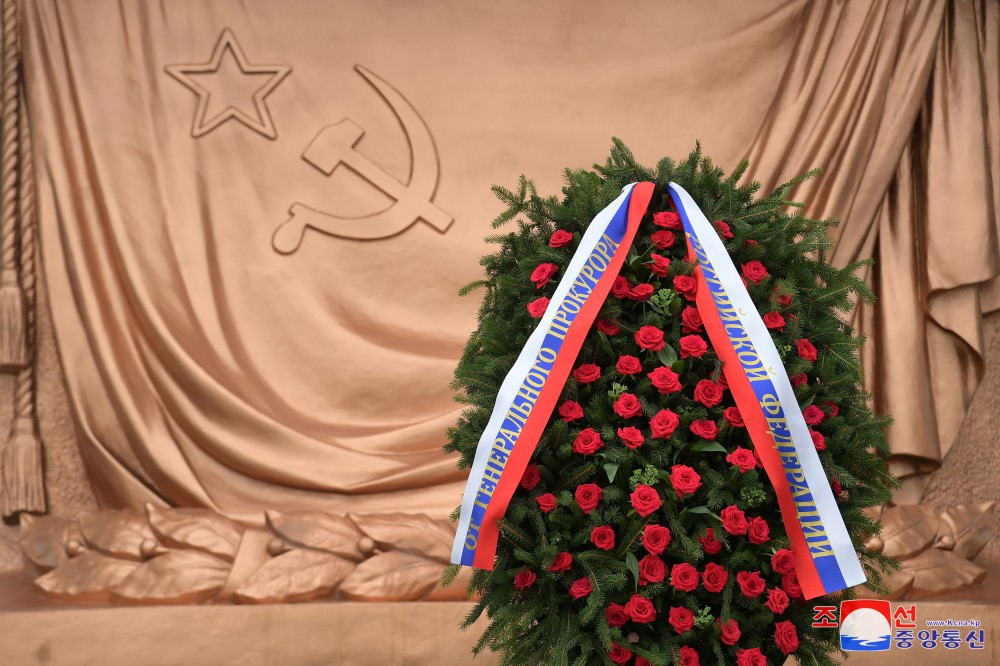 Igor Krasnov deposita ofrenda floral ante el Monumento a la Liberación