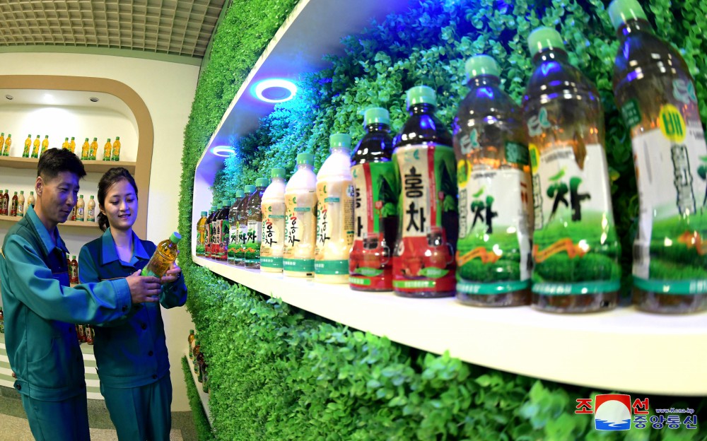 Unjong Tea Factory in DPRK