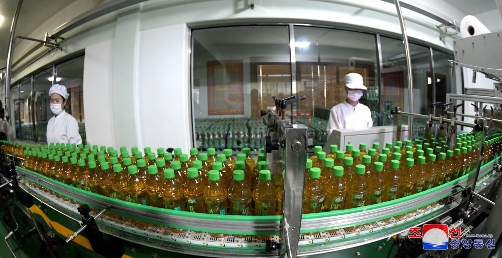 Unjong Tea Factory in DPRK