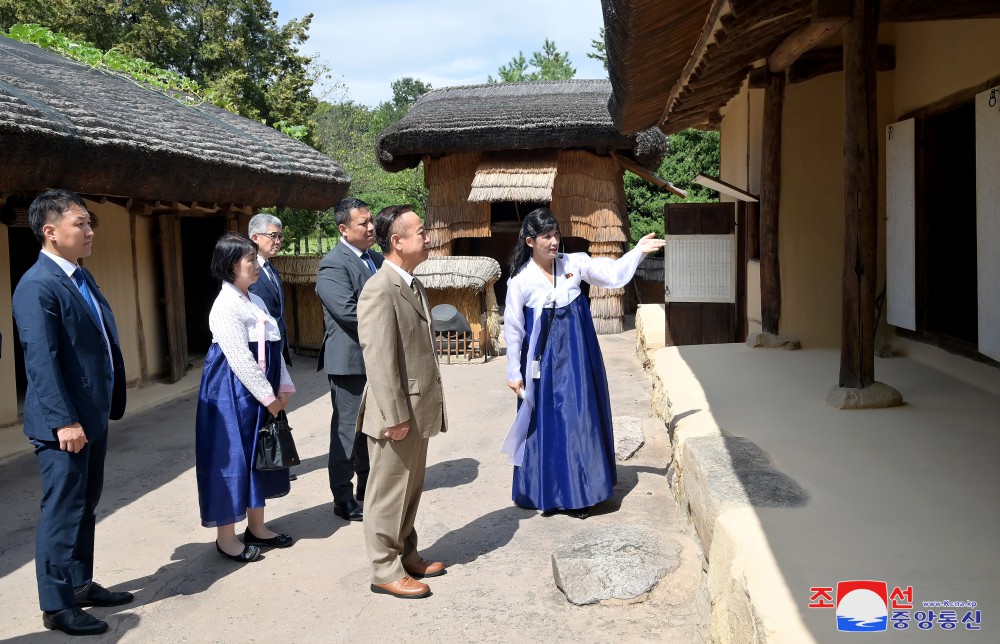 Visita a Mangyongdae el grupo de felicitación de los coreanos en Japón