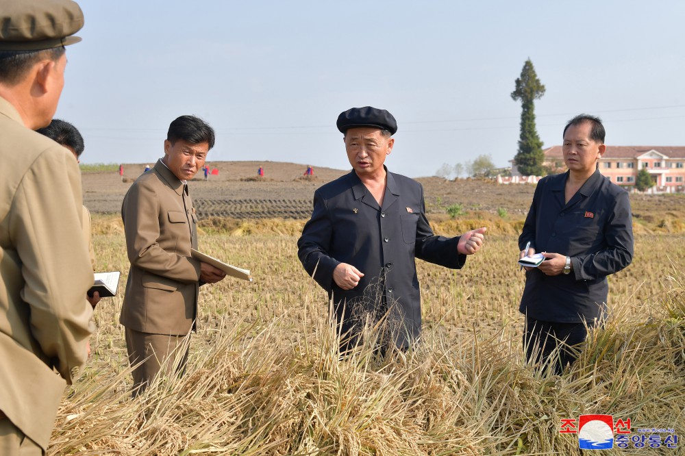 DPRK Premier Inspects Agricultural Sector and Rehabilitation of Flood-hit Areas of North Phyongan Province