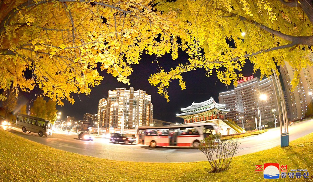 New Houses Built in DPRK