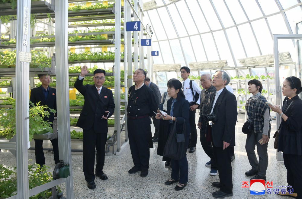 Japanese Delegation Tours Pyongyang