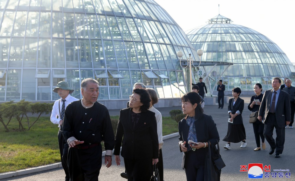 Japanese Delegation Tours Pyongyang