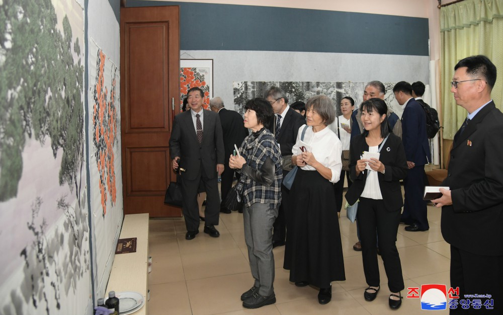 Japanese Delegation Tours Pyongyang