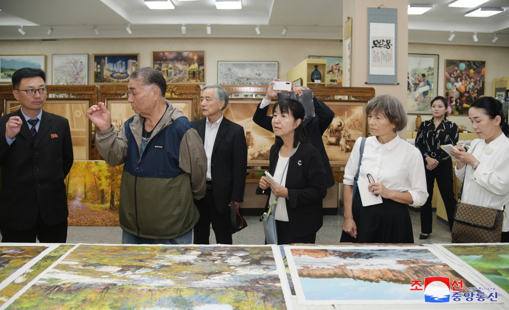 Japanese Delegation Tours Pyongyang