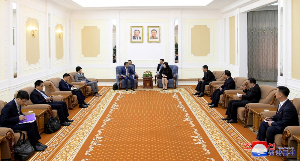 DPRK Foreign Minister Meets Vietnamese Foreign Ministry Delegation