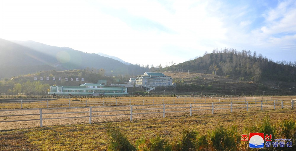 남포시승마구락부 새로 건설,준공식 진행