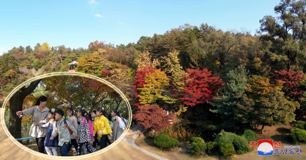 Moran Hill in Pyongyang