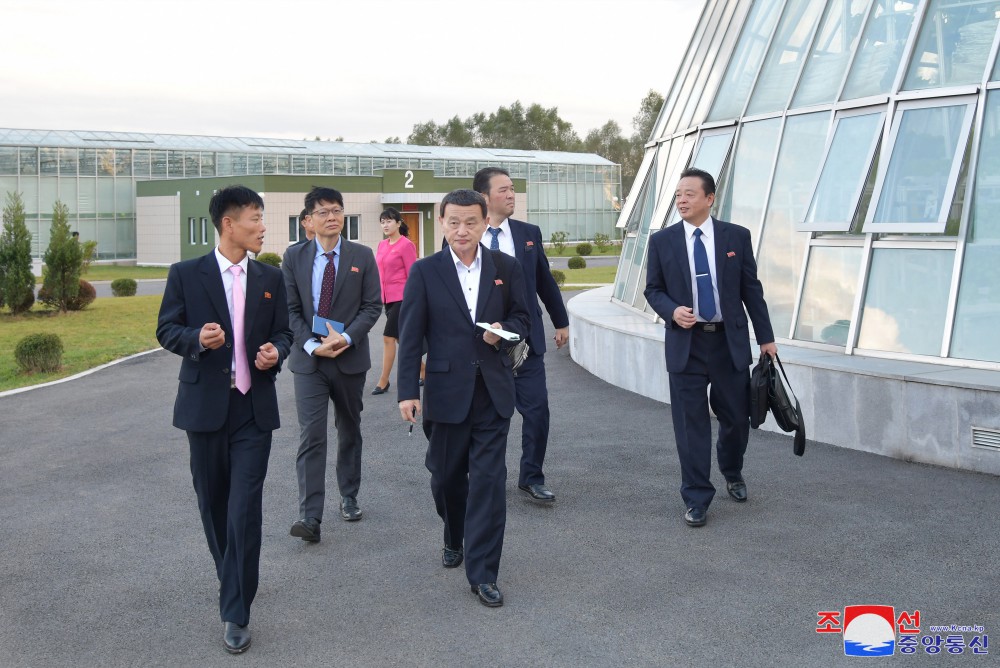 Sojourn in Pyongyang of Delegation of Korean Social Scientists in Japan