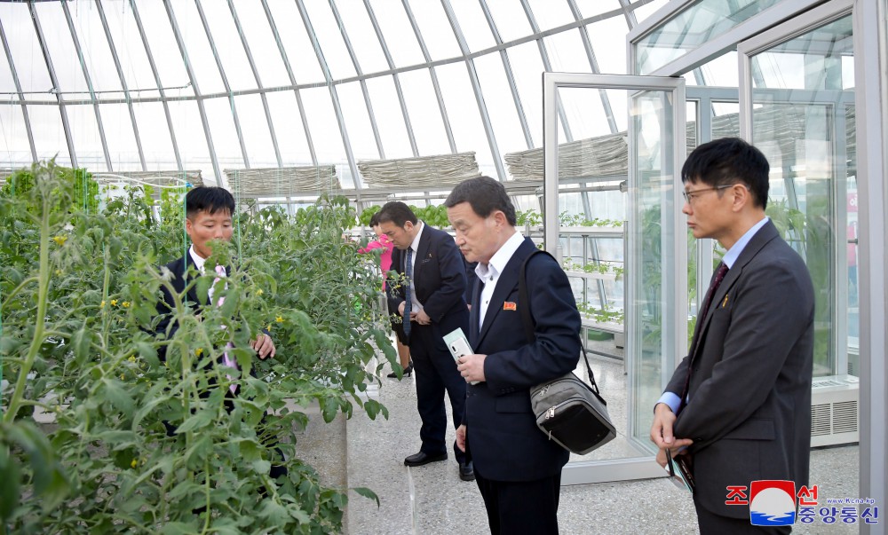 Sojourn in Pyongyang of Delegation of Korean Social Scientists in Japan