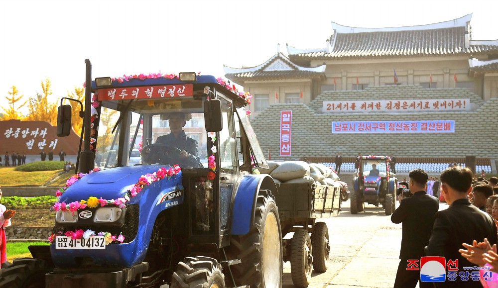 Many Farmers in DPRK Reap Good Harvest