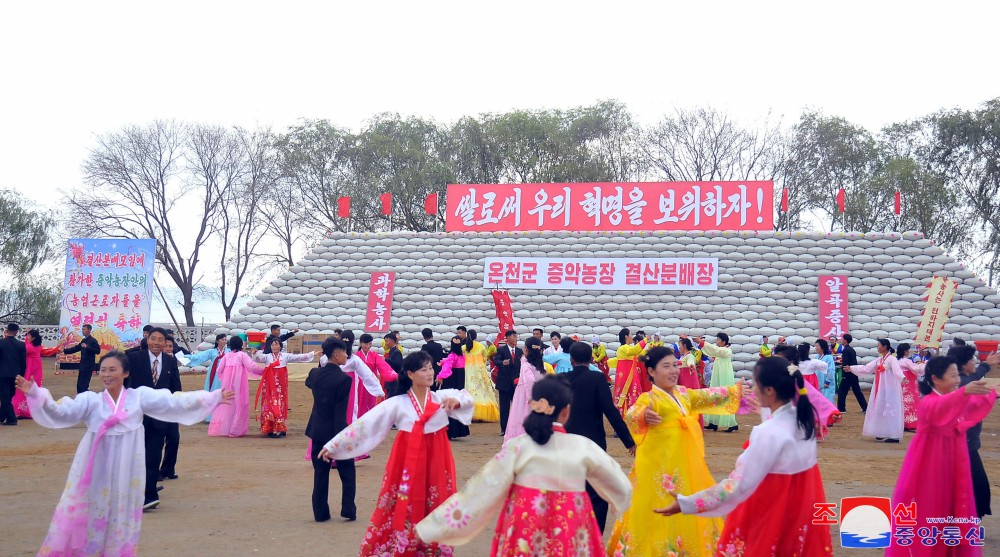 Many Farmers in DPRK Reap Good Harvest