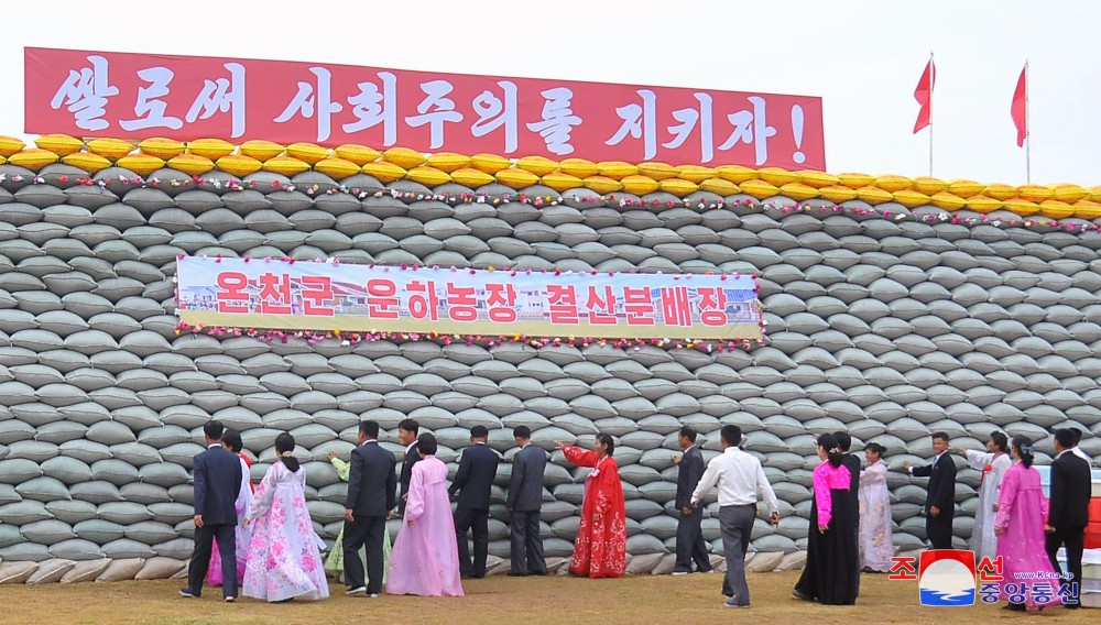 Many Farmers in DPRK Reap Good Harvest