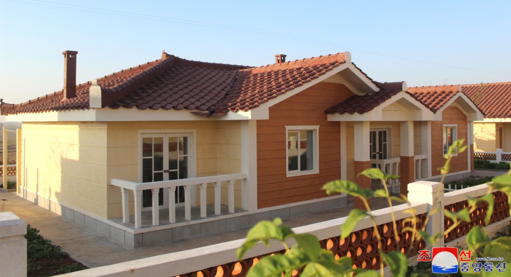 New Houses Built at Ryongchon Farm in Hwangju County of DPRK